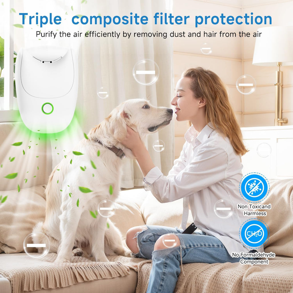 Plug in Air Ionizer,  2-Speed Quiet Mini Negative Ionic Air Purifier, Portable Odor Eliminator for Home, Bedroom, Office & Kitchen